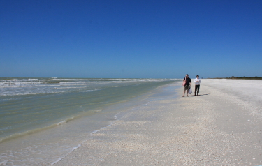 Marco's beautiful Tigertail beach