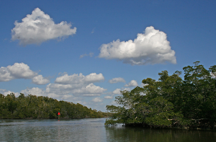 Marco Island offers world class accommodation and is only a stone's throw from the Everglades National Park