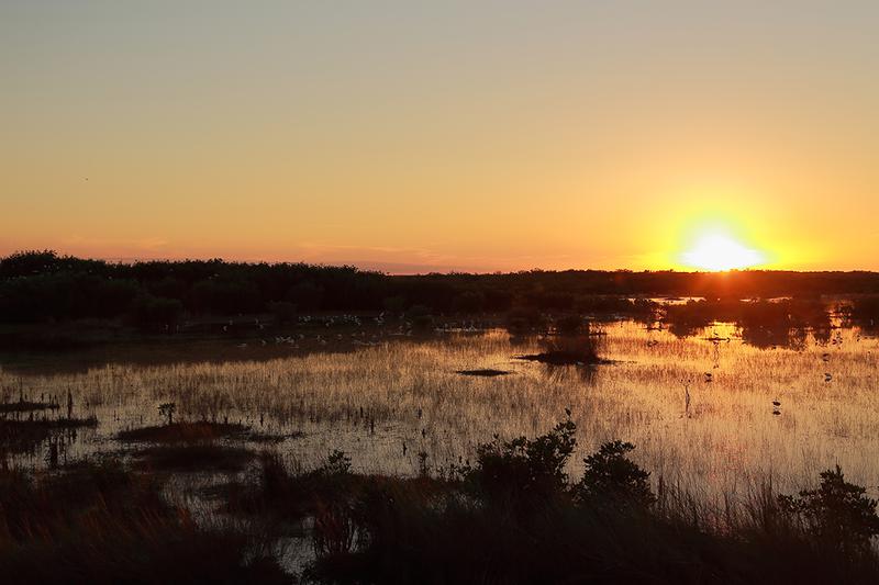 sunset taken from the tower at the 10,000 Islands Wildlife Preserve