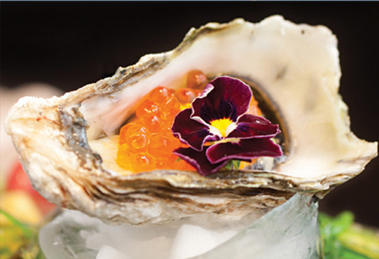 Marco Island Oysters