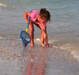 Fabulous shelling