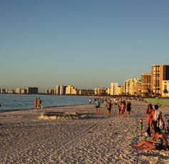 With our wonderful warm climate on Marco Island we need pumpkins to make us realize it's fall!