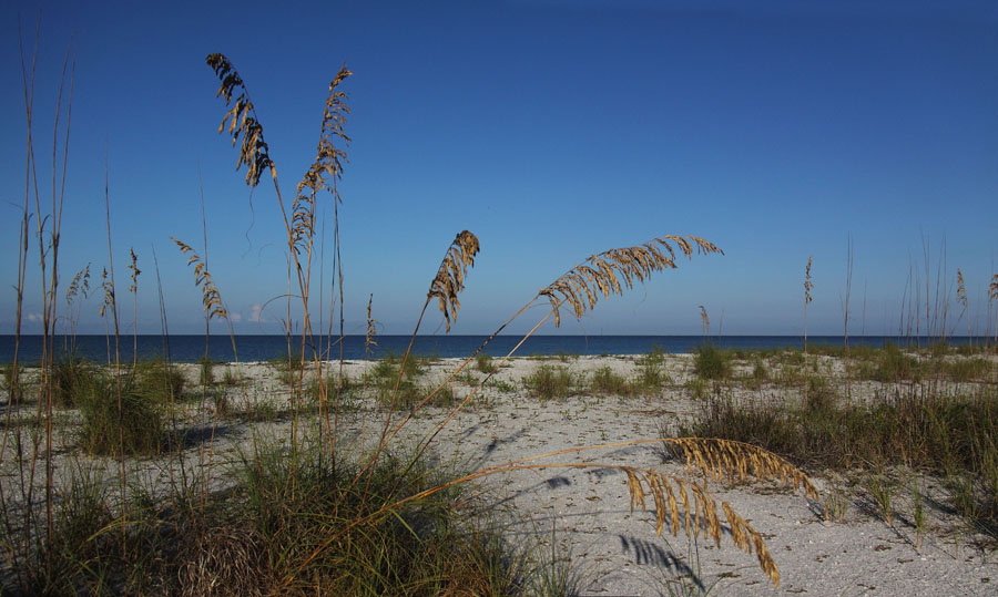 Marco Island's Tigertal beach is so beautiful